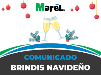 Brindis navideño